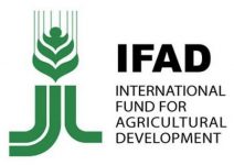 Logo_IFAD